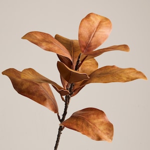 Artificial Brown Magnolia Branch: Rustic Autumn Home Decor