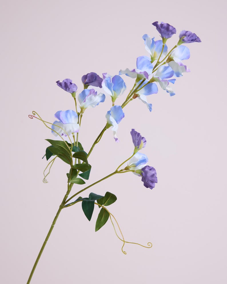 May include: A stem of artificial sweet pea flowers in shades of purple and light blue. The flowers have delicate, ruffled petals and are interspersed with green leaves and tendrils. The stem is a light green color, and the background is a soft pink.