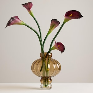Peut inclure: Un vase décoratif en verre ambré, de forme bombée, contenant plusieurs arums. Les lys ont des pétales bordeaux foncé et des tiges vertes. Le vase est posé sur une surface blanche, sur fond neutre.