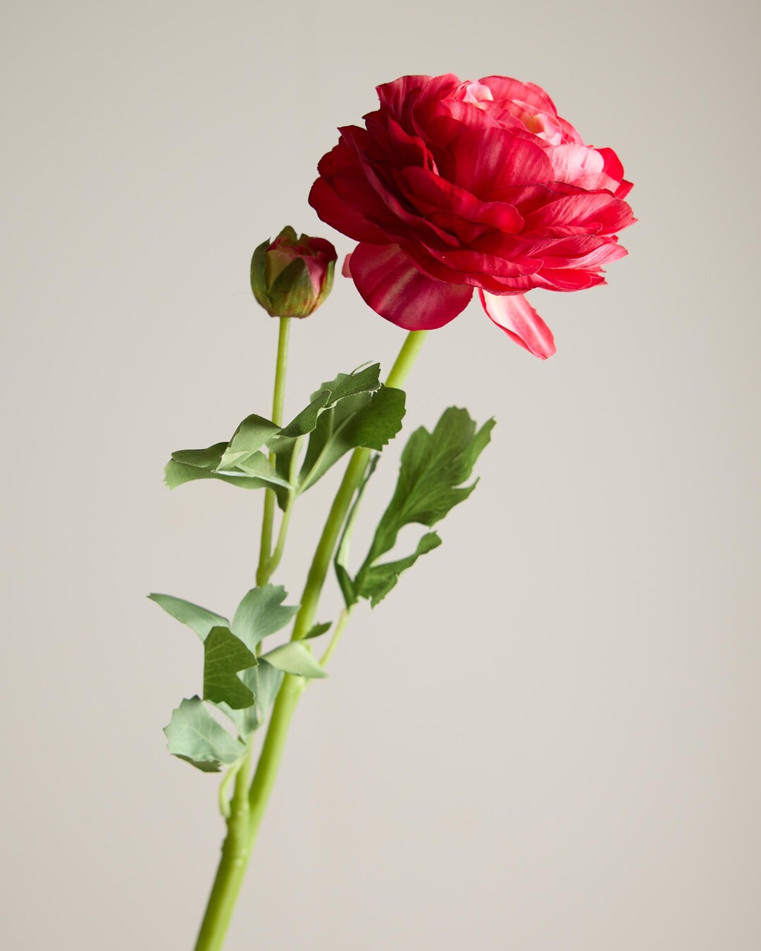 Fuchia Ranunculus Artificial Ranunculus Stem – Fuchsia / Deep Pink Flower - Etsy