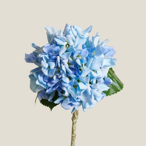 Faux Blue Hydrangea Stem – Real Touch Artificial Flower for Bouquets, Home Styling, Event Decor & DIY Arrangements