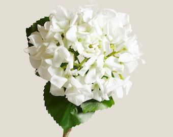 白いアジサイの茎 – リアルタッチのフェイクフラワー