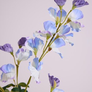May include: A close-up of a floral arrangement featuring delicate sweet pea flowers. The flowers display a gradient of colors, from deep purple buds to light blue and white petals. Green stems and leaves provide contrast against the soft background.