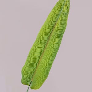 May include: A single artificial leaf with a vibrant green color and a distinct, raised horizontal ribbed texture across its surface. The leaf is elongated and oval-shaped, attached to a thin, slender green stem at the base.