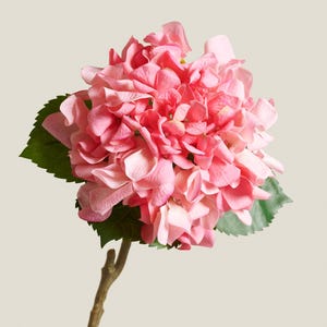 Tallo de hortensia artificial rosa: flor artificial de tacto real