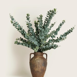 Faux Eucalyptus Stem – Real Touch Greenery for Bouquets, Home Decor, DIY Floral Arrangements & Wedding Styling