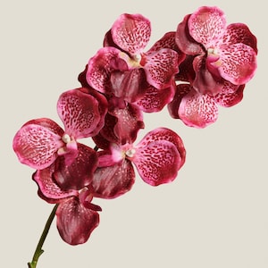 Real Touch Orchid Stem Hot Pink – Faux Orchid for Luxe Floral Arrangements, Home Decor, Wedding Flowers & DIY Projects