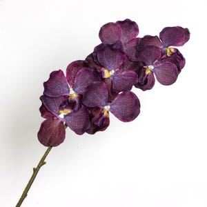Artificial Orchid Stem Mauve – Real Touch Flower