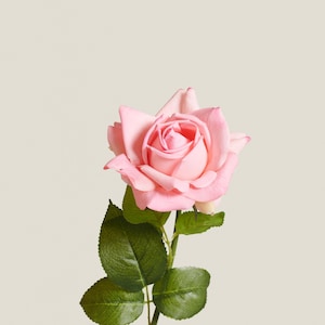 Artificial Pink Rose Stem – Real Touch Faux Flower for Bouquets, Wedding Decor, Home Styling & DIY Arrangements