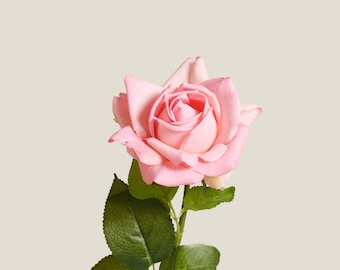 Artificial Pink Rose Stem -Real Touch Flower