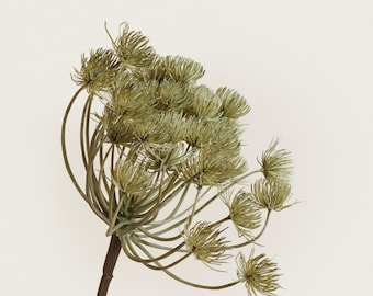 Green Allium Spray | Artificial Hogweed Stem | Modern Textured Faux Botanical | Unique Structural Greenery | Home Decor Accent - Grey