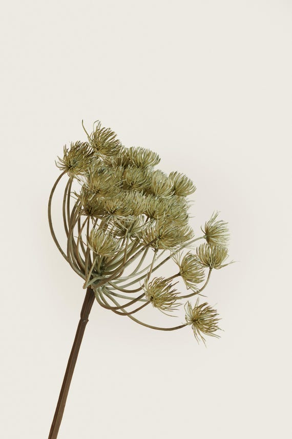 Imitat grner Zierlauch Spray | Knstlicher Brenklau Stiel | Moderne  strukturierte knstliche botanische | Einzigartiges Strukturgrn | Home  Decor Accent - Grau - Etsy.de