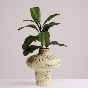 May include: A ceramic vase with a wide, rounded body and a narrow neck, featuring a cream-coloured base with a repeating dark green speckled pattern. A green-leafed plant with thick, oval-shaped foliage is placed inside the vase.
