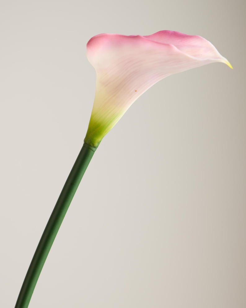 Pink Real Touch Calla Lily – Artificial Calla Lily, Elegant Wedding ...