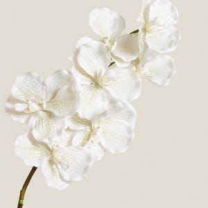 Real Touch Orchid Stem White / Cream – Faux Orchid for Luxe Floral Arrangements, Home Decor, Wedding Flowers & DIY Projects