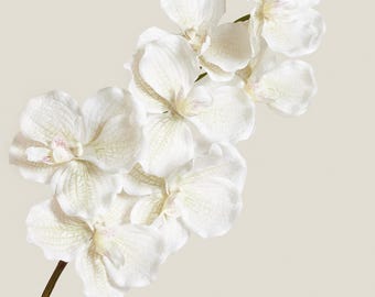 Real Touch Orchid Stem White / Cream – Faux Orchid for Luxe Floral Arrangements, Home Decor, Wedding Flowers & DIY Projects
