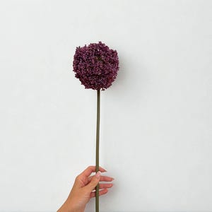 Artificial Allium Stem – Deep Purple Faux Flower with Round Bloom, Tall Statement Floral Stem for Vase Styling & Modern Home Décor