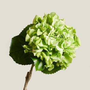 Artificial Green Hydrangea Stem – Real Touch Faux Flower