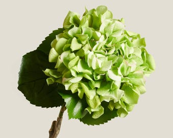 Tallo de hortensia verde artificial – Flor artificial de tacto real para ramos, decoración del hogar, decoración de eventos y arreglos caseros.