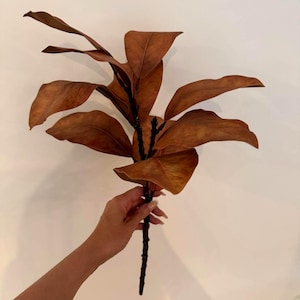 Artificial Magnolia Branch - Brown - Autumn Faux Foliage Stem, Rustic Botanical Stem for Seasonal Vase Styling & Fall Home Décor
