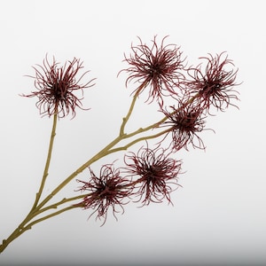 Può includere: Un rametto di fiori artificiali con fiori bordeaux spinosi. I fiori hanno un motivo radiale con sottili petali a forma di capelli. Gli steli sono di colore marrone chiaro e lo sfondo è bianco.