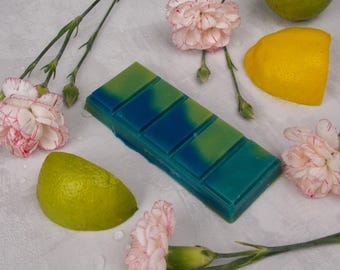 Canopy Rain Wax Melt – frisse citrus, jeneverbes en zachte amberkleurige regengeur Snap Bar, één keer gratis kopen