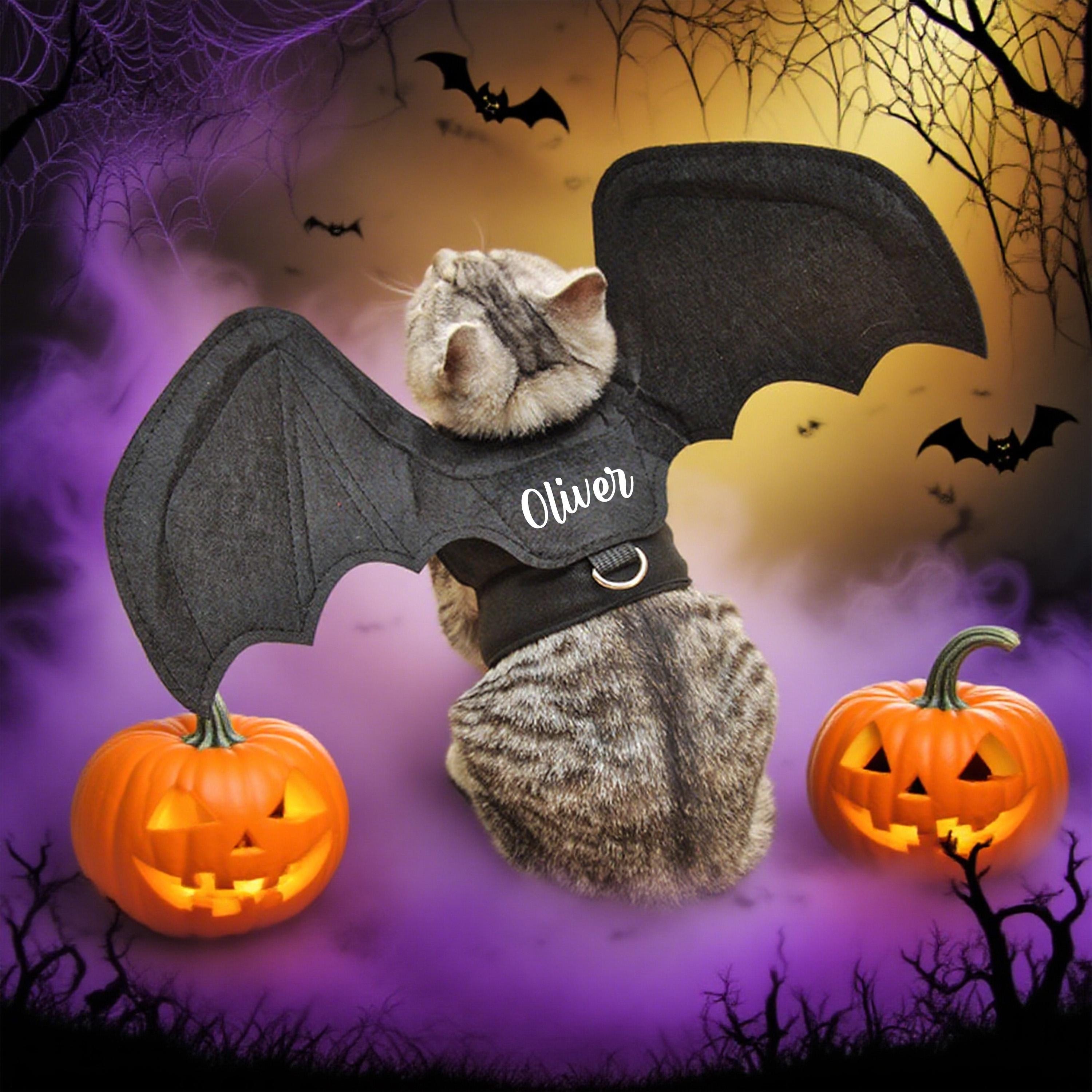 Halloween-Kostüm Damen – Pete Cat Gelbes Oberteil Mit Knopfdruck Für Cosplay & Mottopartys