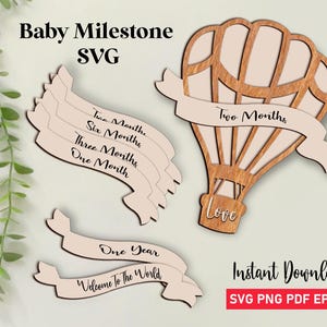 Baby Monatliche Meilenstein-Svg-Bundle, Baby ein Jahr geschnitten Dateien, 2-Schicht-Design, 13 Tags enthalten, Willkommen in der Welt svg, digitaler Download