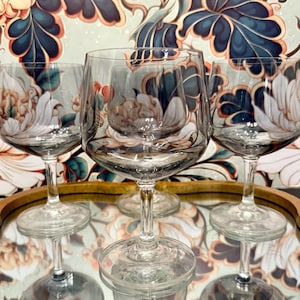Schott-Zwiesel Mirrored Smokey Gray Wine Glasses - Set of 5