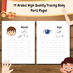 14 - Hojas de aprendizaje de partes del cuerpo en árabe de alta calidad / Hojas de trabajo educativas, Vocabulario árabe, Para principiantes / Practicar el aprendizaje del árabe