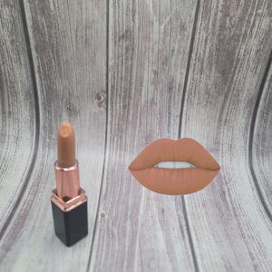 Lipstick/Nude Lipstick/Lipstick Bullet/Liquid Lipstick