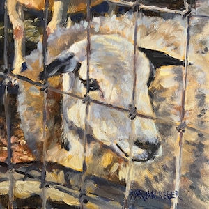 Sheep oil painting, sheep portrait, all original impressionist art, impressionistic, sheep behind the fence, Marilyn Eger, 6&quot; X 6&quot;,