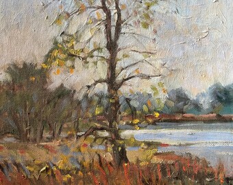 Original Oil Painting: Consumes River Preserve, California, plein aire 16”x12” by Marilyn Eger