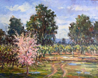 Vineyard Peach Tree Oil Painting: California Landscape,  Art (20 X 16)