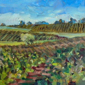 vineyard oil painting, Borden Ranch Vineyard on rolling hills, all original oil painting, rural landscape, oil paint, Marilyn Eger, 6" X 6"