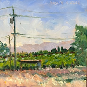 oil painting of vineyard, Noble Flower on Tully Road, original Plein Aire landscape, impressionism, impressionist, Marilyn Eger, 6" X 6"