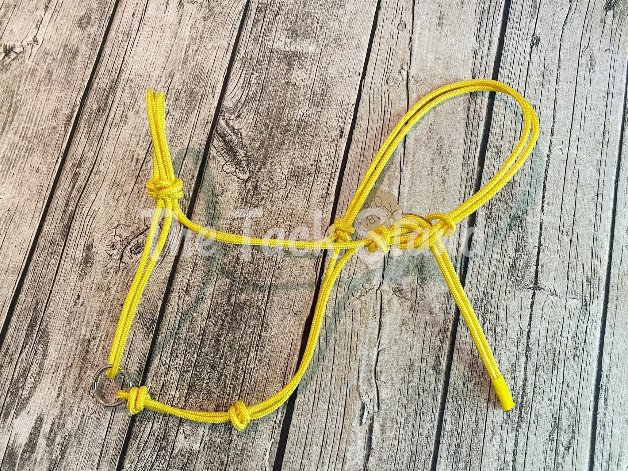 1/4" Stiff Rope Training Halter For Arabian & Cob Horses - Fits Anderson Method