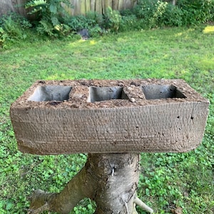 Puede incluir: Una jardinera rectangular de hormigón desgastado con cuatro compartimentos empotrados, apoyada sobre una base de tronco de árbol natural. La jardinera es de color gris-marrón apagado, con textura visible. La base presenta raíces y ramas expuestas.