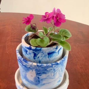 May include: A flowering African violet plant in a stack of two marbled blue and white ceramic pots, with a matching saucer. The plant has magenta flowers and green leaves. The arrangement is on a wooden surface.