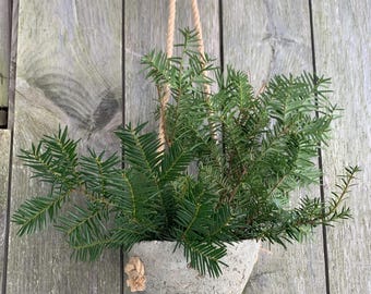 Hangende Hypertufa-plantenbak, 6" diep bij 7,5" breed