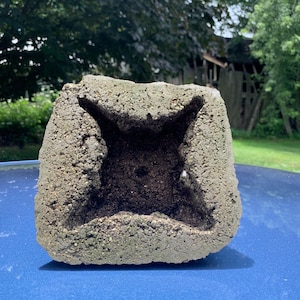 Könnte beinhalten: Ein verwitterter, quadratischer Betonblumentopf mit sternförmiger Öffnung. Der Pflanztopf hat eine raue, strukturierte Oberfläche und ein dunkles Inneres. Der Hintergrund zeigt grünes Laub und eine blaue Oberfläche.