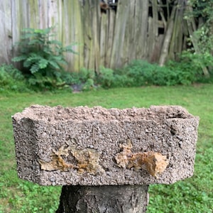 Hypertufa Window Sill Trough Seaweed inset