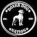 Boxer Dog Nation