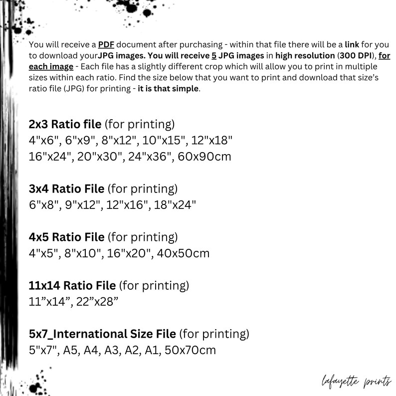 Op de afbeelding: Een wit document met zwarte tekst met details over afdrukformaten voor digitale kunstbestanden. Maten zijn 10x15cm, 15x23cm, 20x30cm, 25x38cm, 30x46cm, 41x61cm, 51x76cm, 61x91cm en 60x90cm. Het document is van Lafayette Prints.