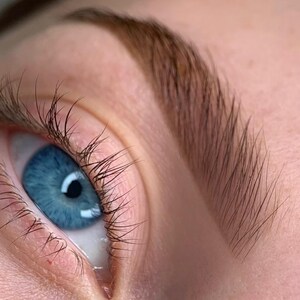 PMU Brow Training Manual | Permanent Makeup Eyebrows Guide | Editable Canva PDF | brow mapping