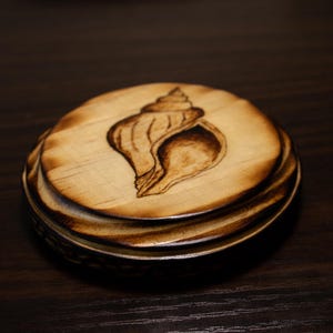 Conch Coaster