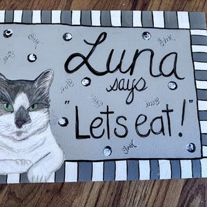 Personalized Pet Food And Water Mat Handpainted Mat Cats Dogs Custom Made