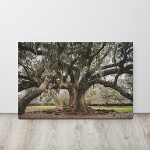Tree of Life - NOLA - THIN CANVAS