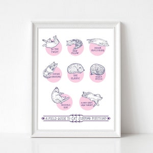 Art Print -  A Field Guide To Cat Sleeping Positions | 300mm x 400mm / 12 x 16" | Wall Decor | Art Poster