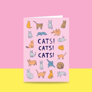 Greeting Card - Cats! Cats! Cats! | Non Occasion Card